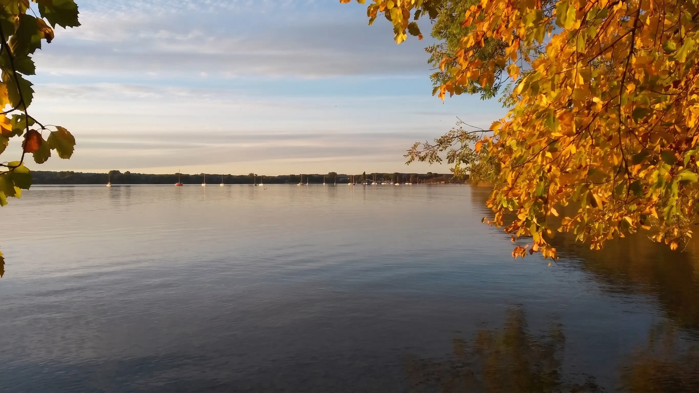 Stiller Ammersee am Abend mit Herbstlaub und Segelbooten am Horizont